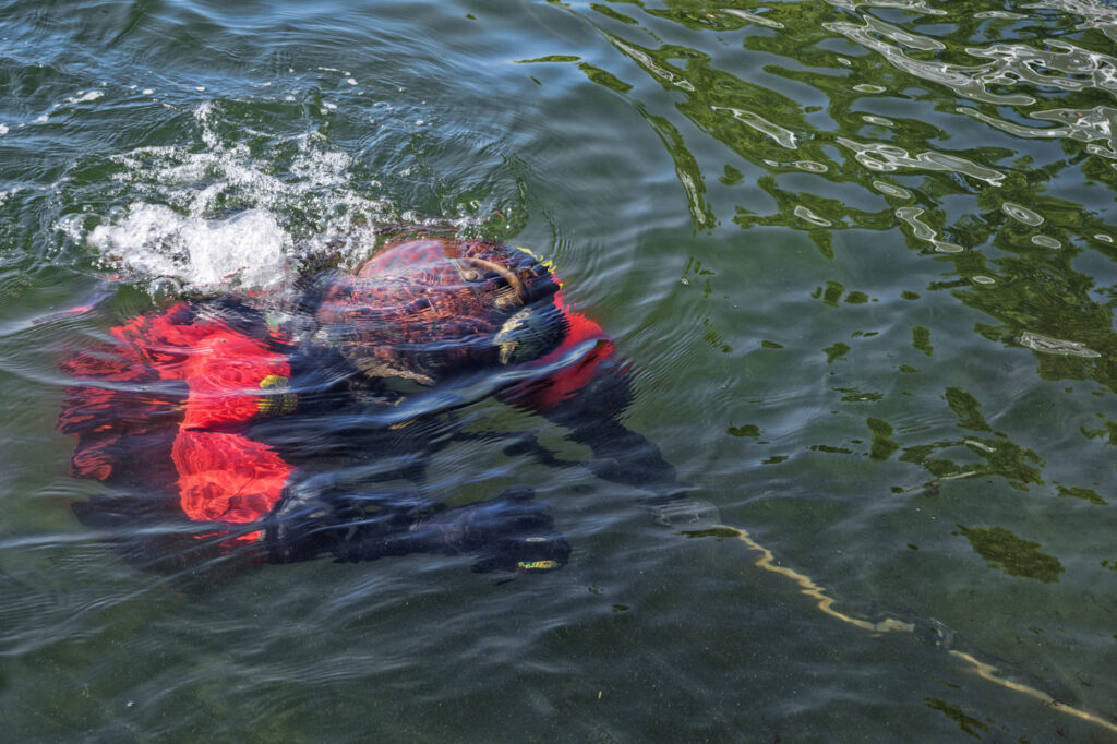 Autorin macht sich auf den Weg zum Grunde der Ostsee